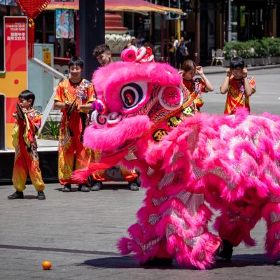 Lion dancing at Yagan Square for Lunar New Year 