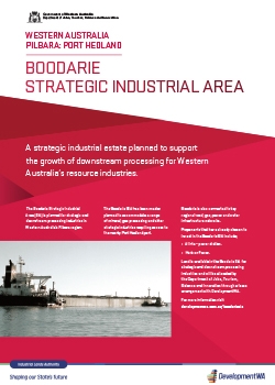 Boodarie SIA Project Summary